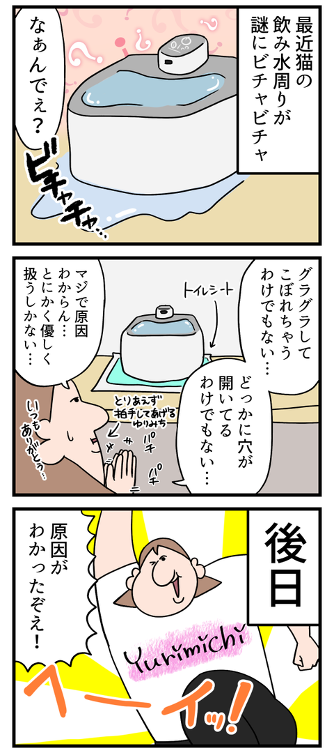 猫の水飲み場がビチャビチャになるんです