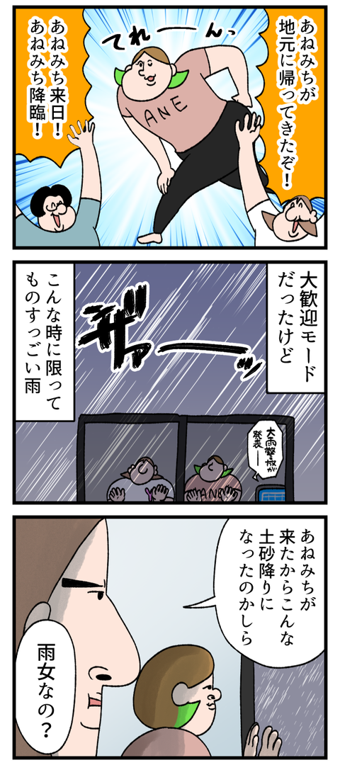 あねみち実は