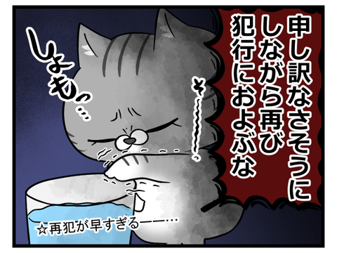 態度だけ反省してる猫2