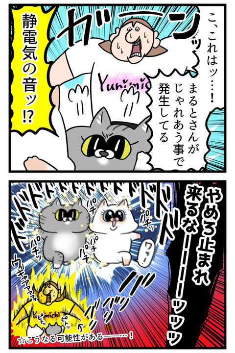 今年もでんきタイプになる猫達2