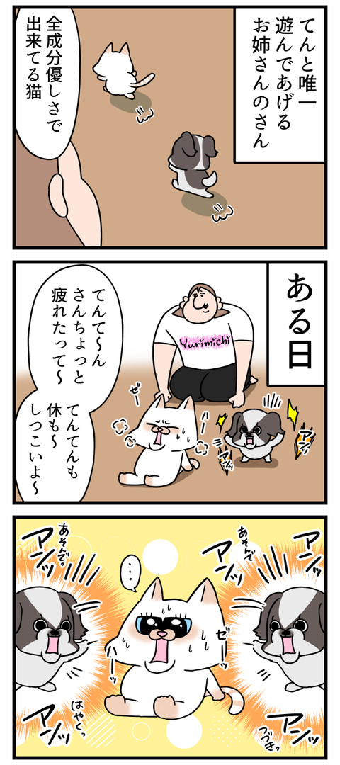 優しい猫を怒らせる犬