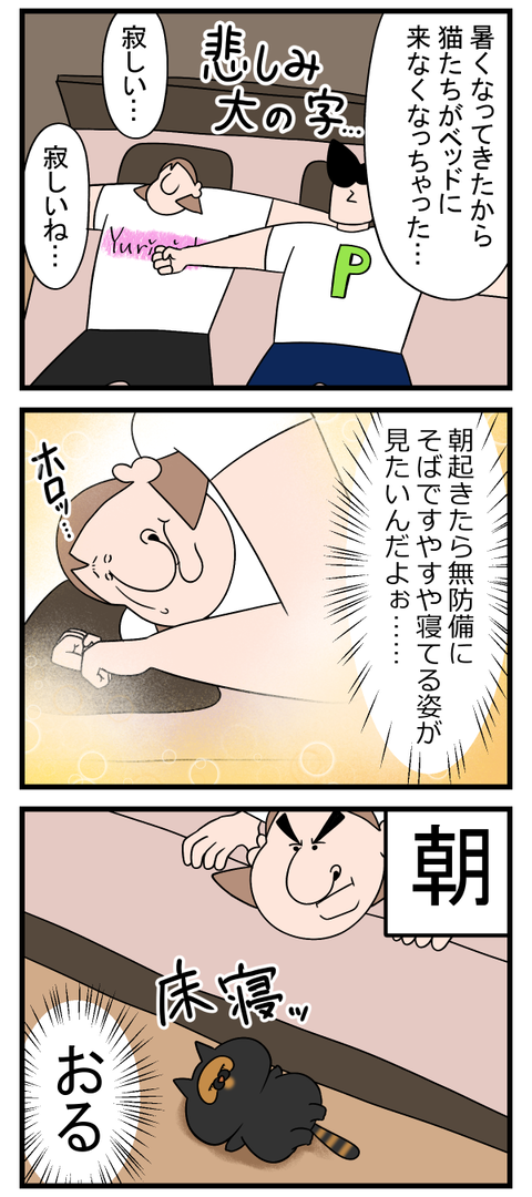 傍に猫たちがいるこの上ない幸せ