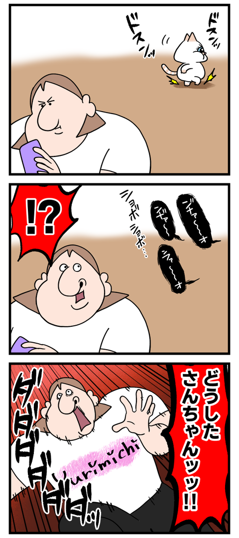 小賢しいデブ認定猫2