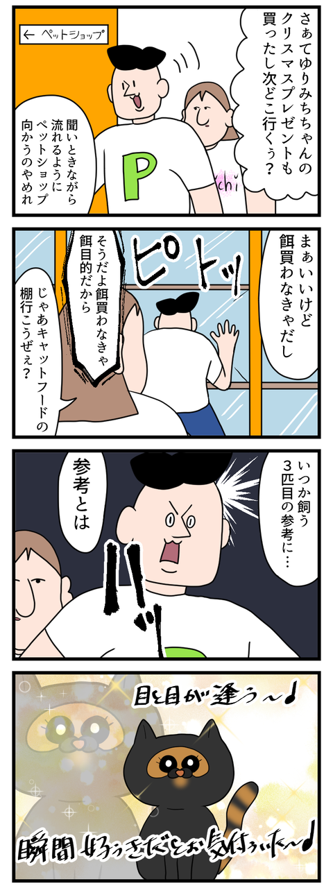 人生初の一目惚れを猫で経験した男