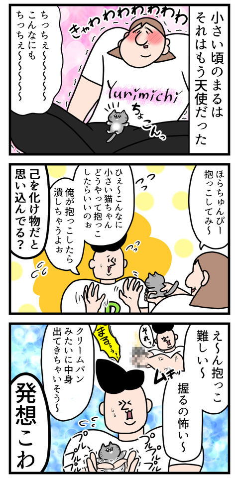 子猫って全てを浄化出来そうなくらい可愛い