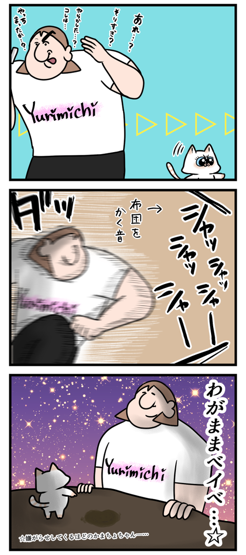 ふわふわ毛布に出会えた理由2