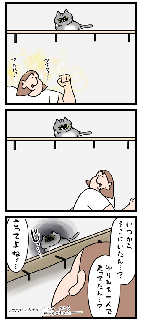 とんだ間抜けでした2