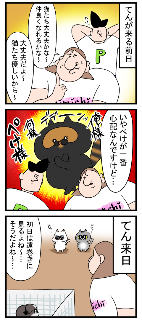 末っ子だった奴が姉になる瞬間