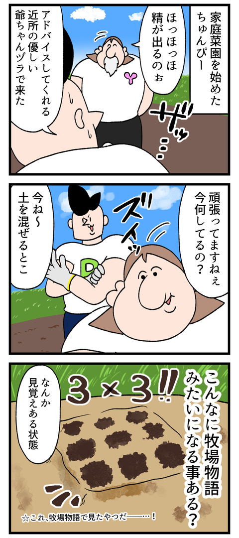家庭菜園始めました