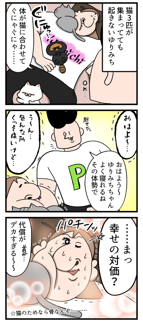 猫が一緒に寝てくれる幸せ3倍