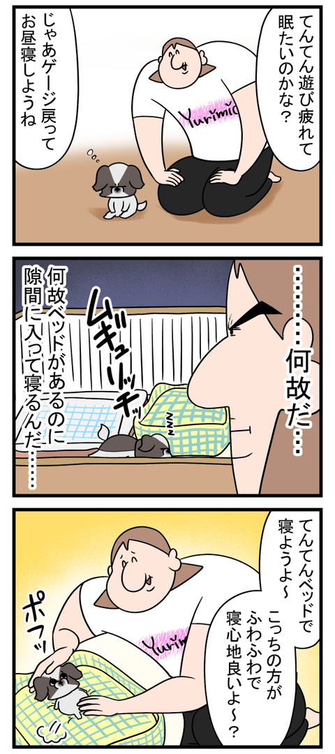 ベッドを使わないイッヌ