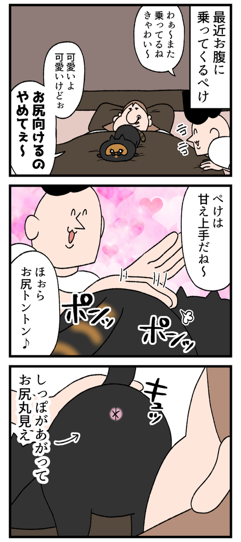 旦那と猫が合体必殺技してきた