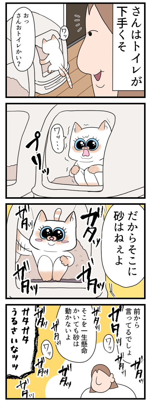 砂かけが異常に下手な猫