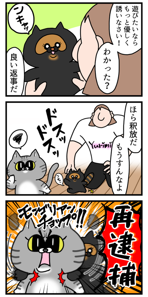 通り魔過ぎる猫ちゃん2