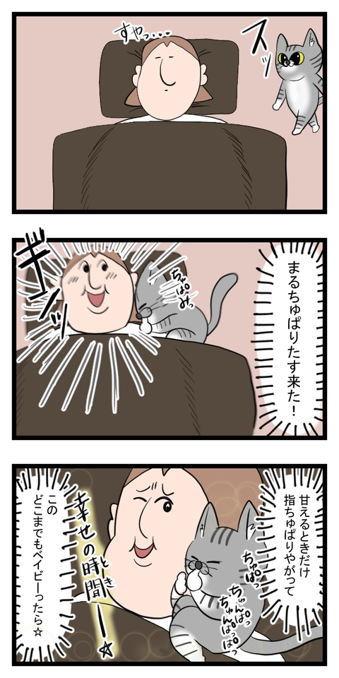 まるちゅぱりたす