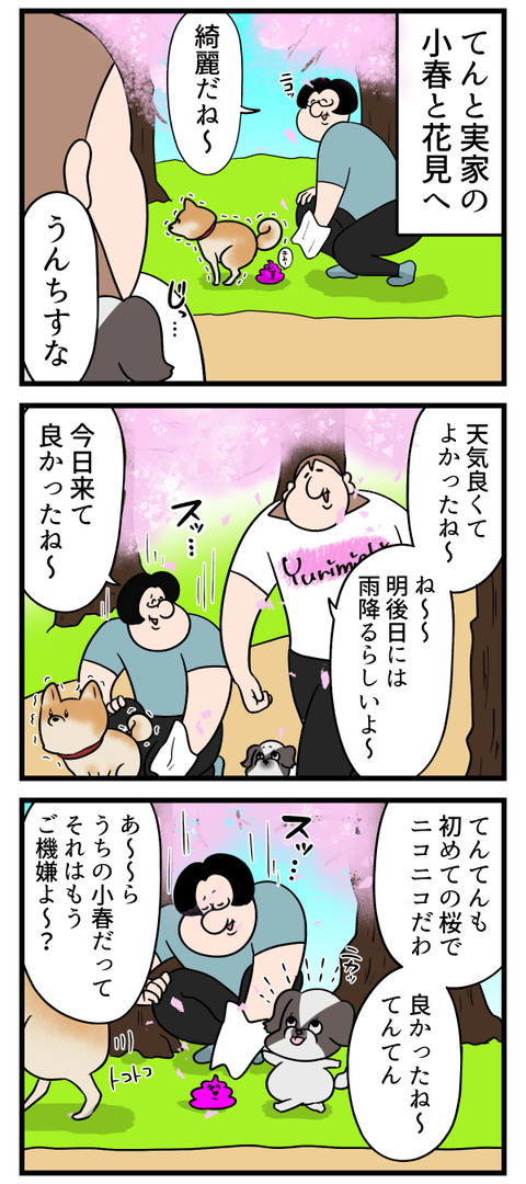 開放感溢れちゃった犬