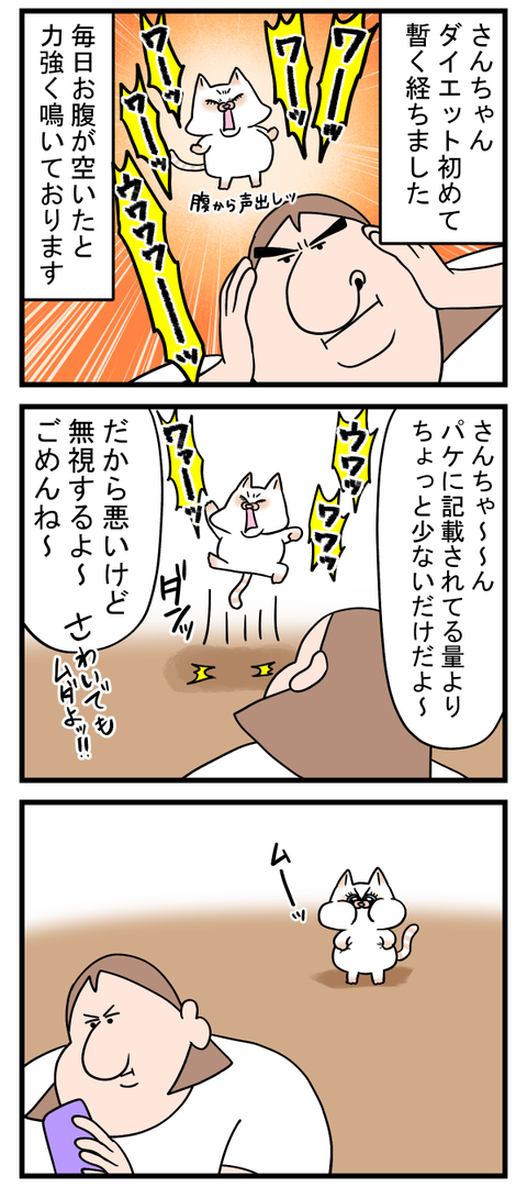 小賢しいデブ認定猫
