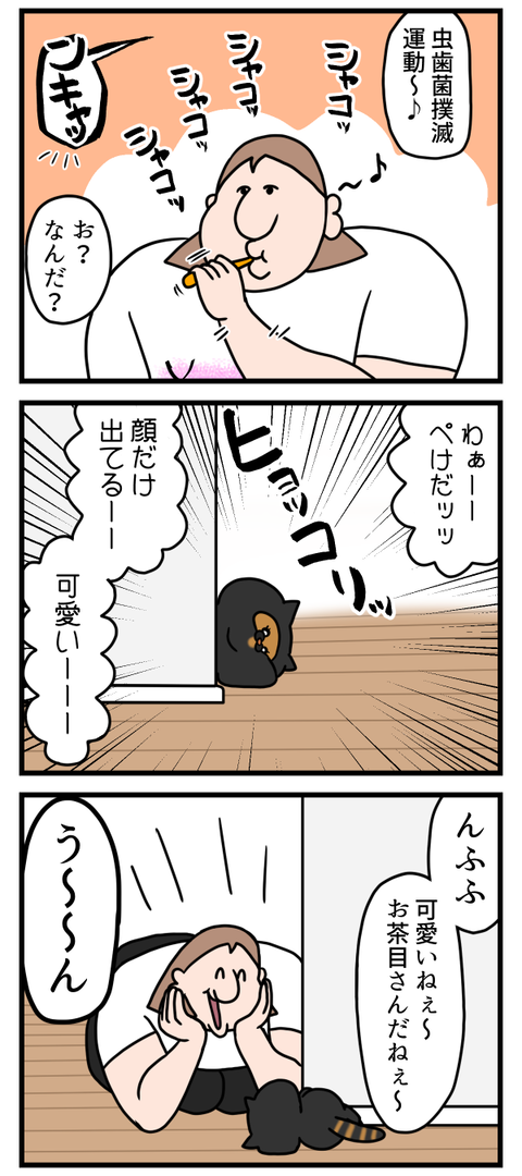 顔芸達者な猫
