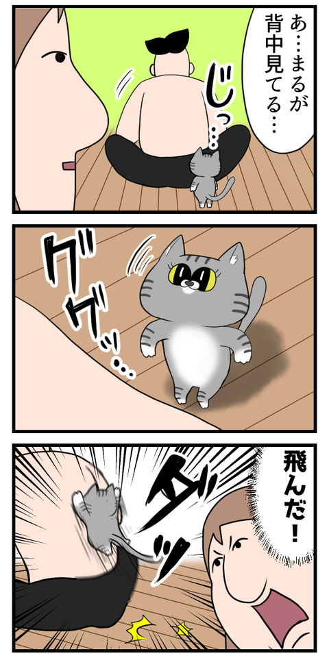 猫に罪はない…そこに背中があったから…2