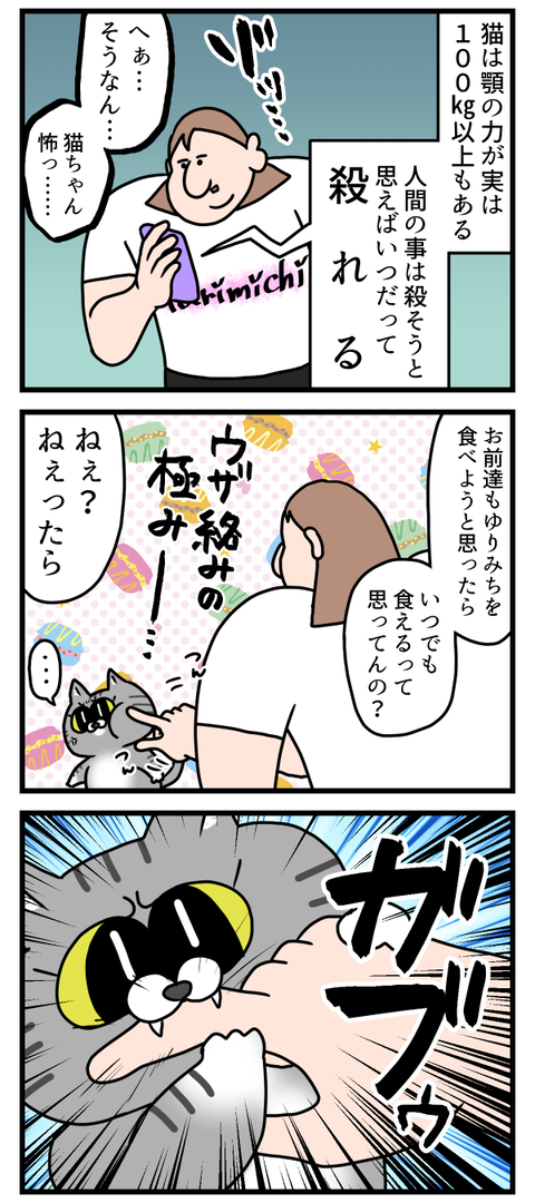 猫ちゃんの優しさで今日も生きてる