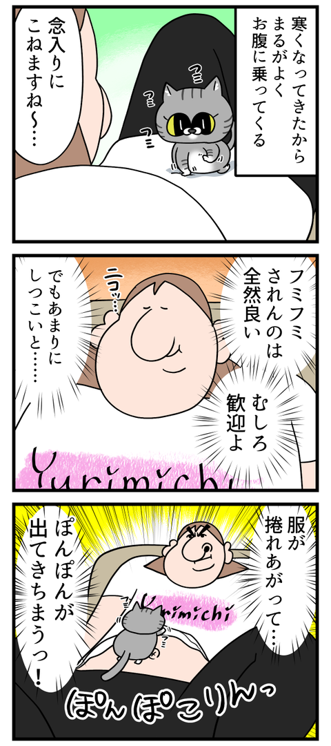 丁寧にフミフミします