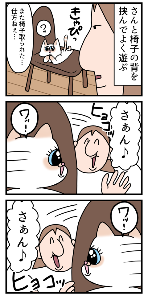 賢さが溢れちゃった猫