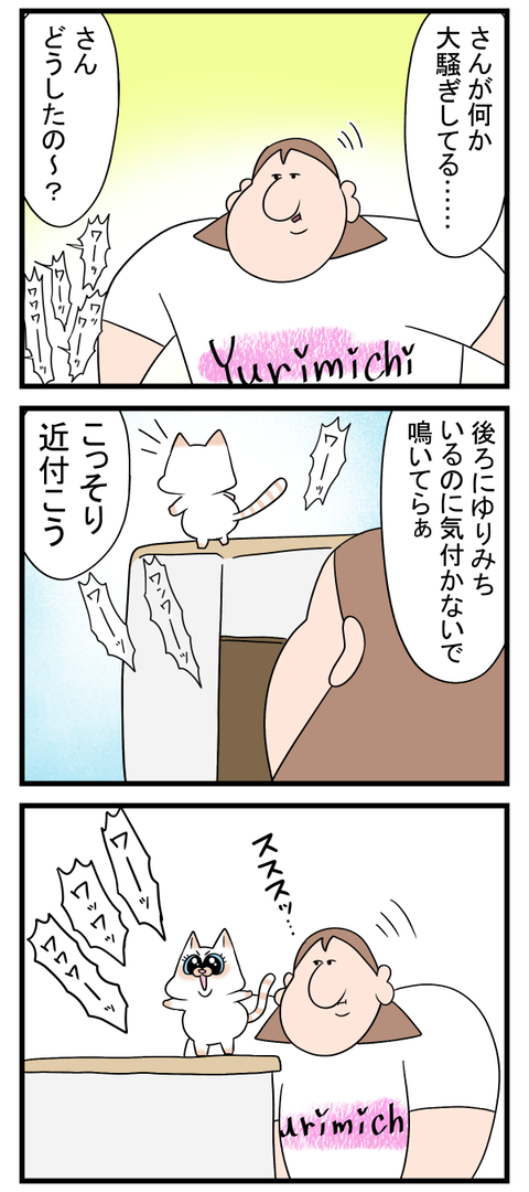 うちの猫の人間っぽいところ初めて見た