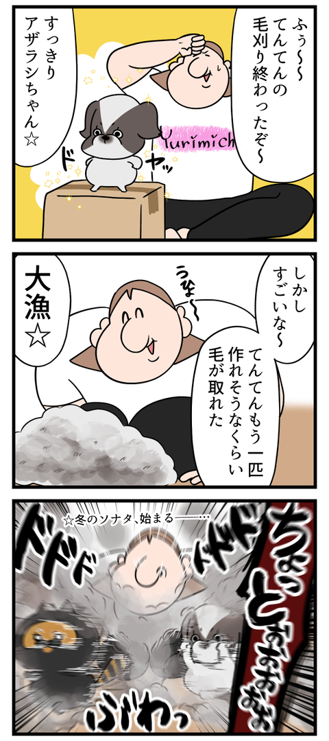 犬の毛刈り