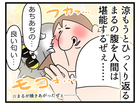 最近の猫ちゃんの炬燵の楽しみ方2