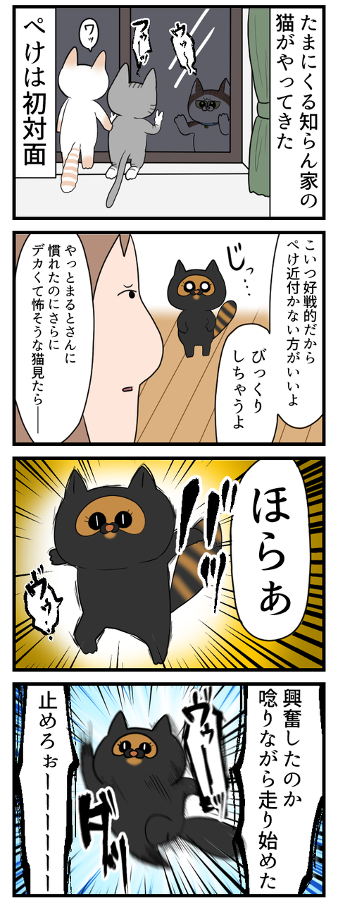 猫って豚鼻なるんだ