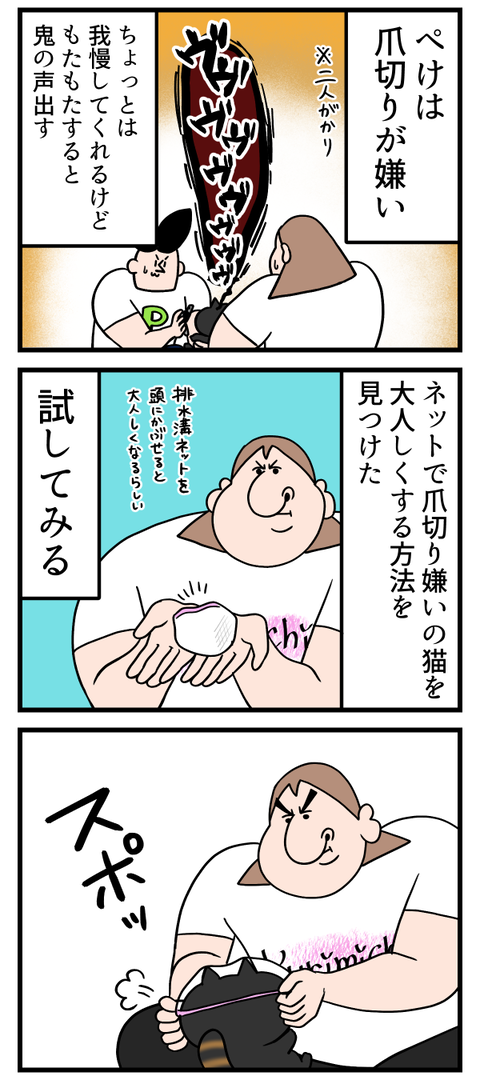 爪切り嫌いの猫を大人しくさせる方法試してみた