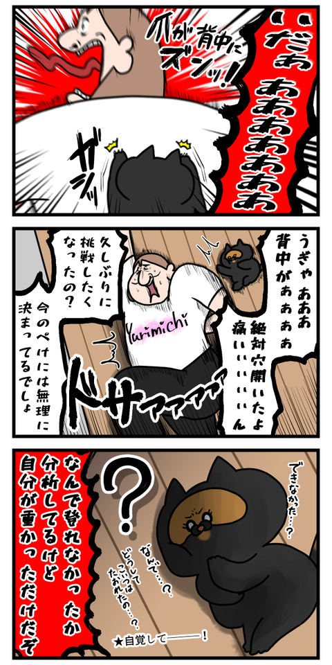 大きくなったら出来なくなる事もあるよね3
