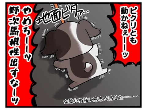 赤ちゃん犬のくせして3