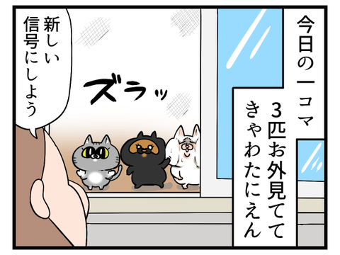 多頭飼い最高の瞬間