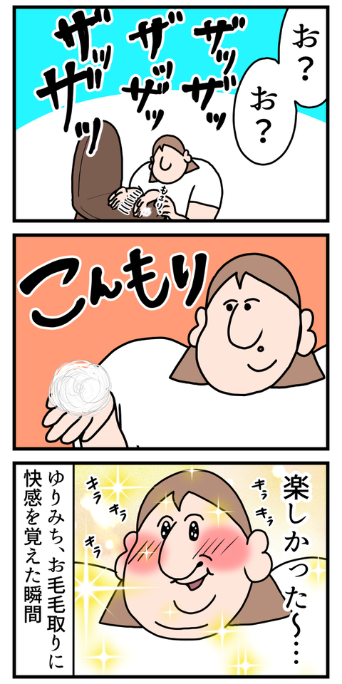 換毛期の猫ちゃんのお毛毛にも良い所はある2