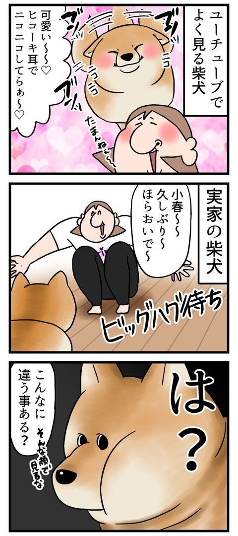結局可愛いんだけどさ