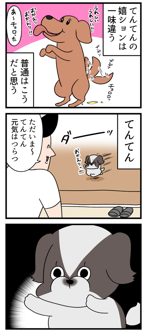 うちの犬の嬉ションは一味違うぜぇ……？