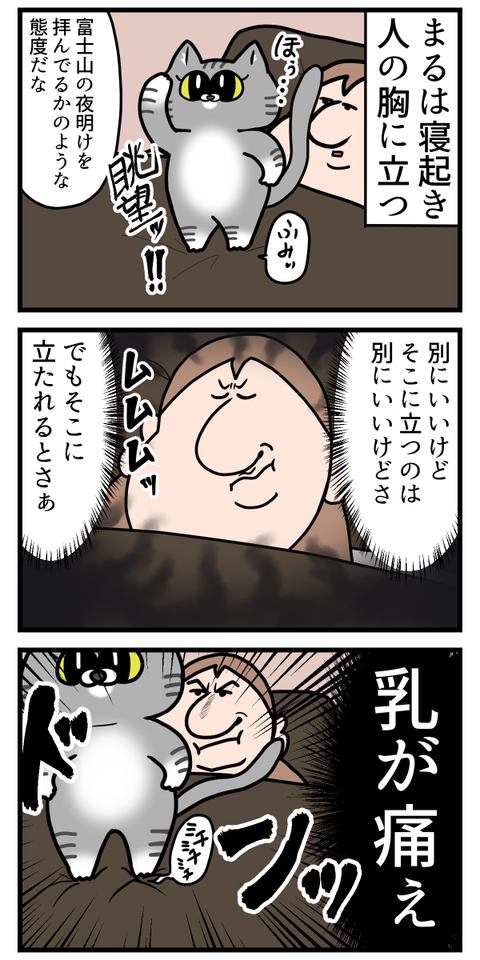 やっぱり命狙ってきてる猫1.1