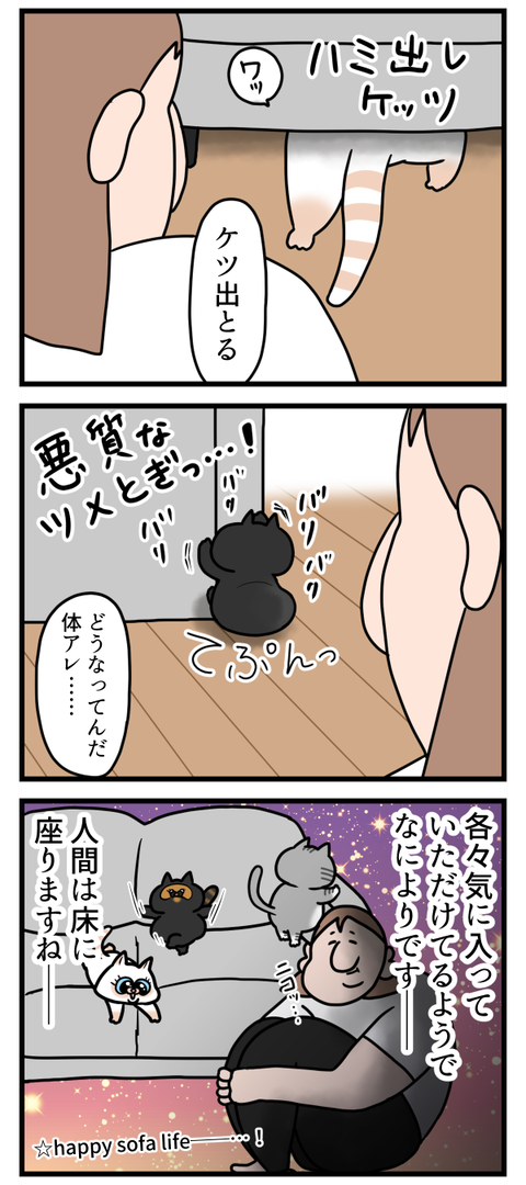 猫ちゃん達、ソファー初体験2
