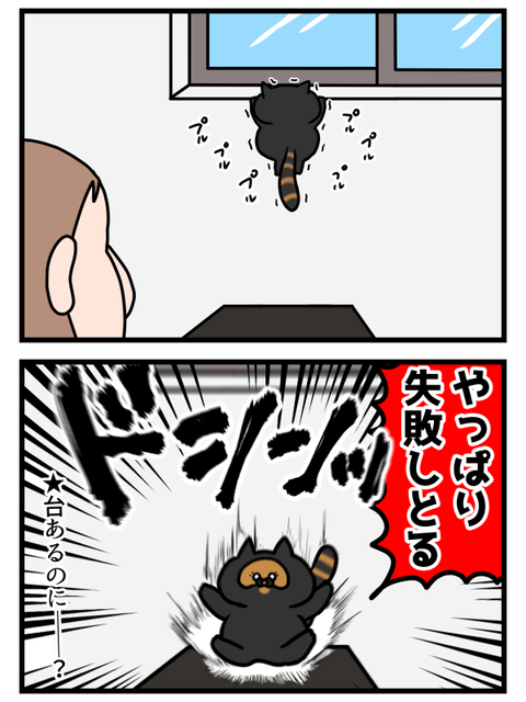 期待を裏切らない猫2