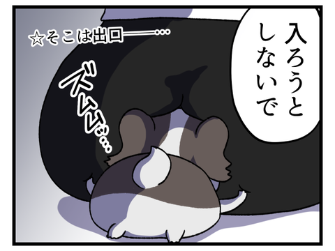 犬の前でおならしたら2