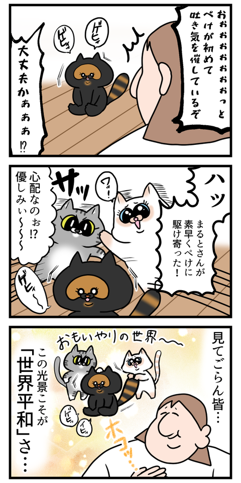 優しい猫2匹と理不尽な猫1匹