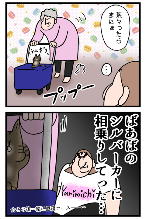楽を覚える猫2