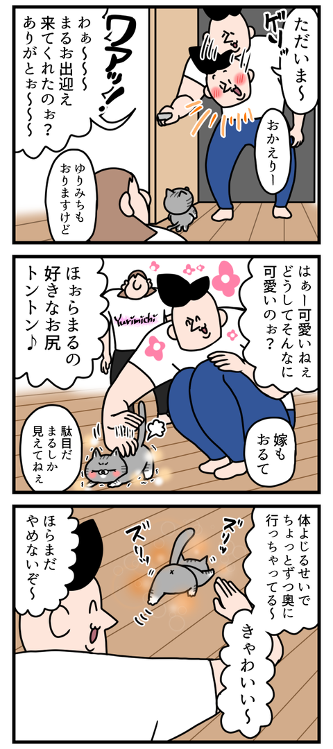 猫ちゃんの新しい移動方法