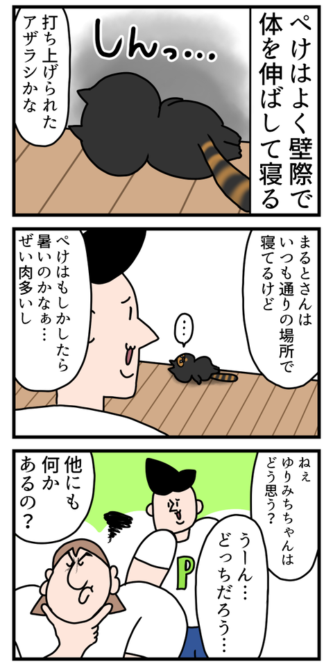 狸と呼ばれた猫ちゃん、アザラシにもなれた