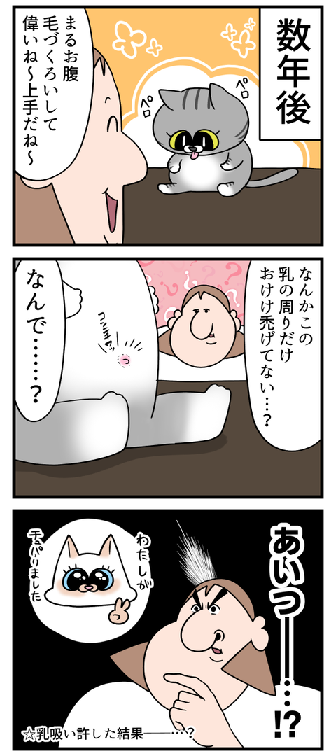 尊い子猫のお乳吸い2