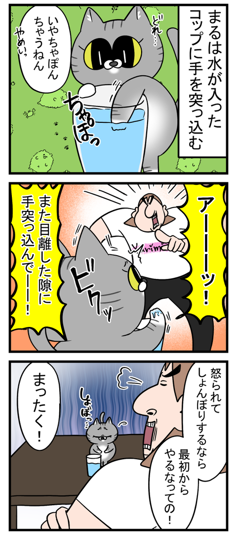 態度だけ反省してる猫