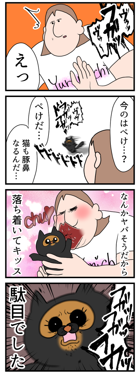猫って豚鼻なるんだ2