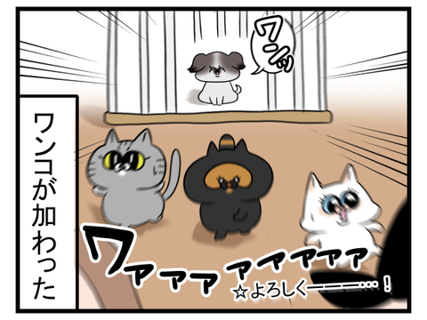 小さき命がやってきた2