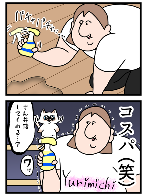 コスパもくそもなくなった瞬間3